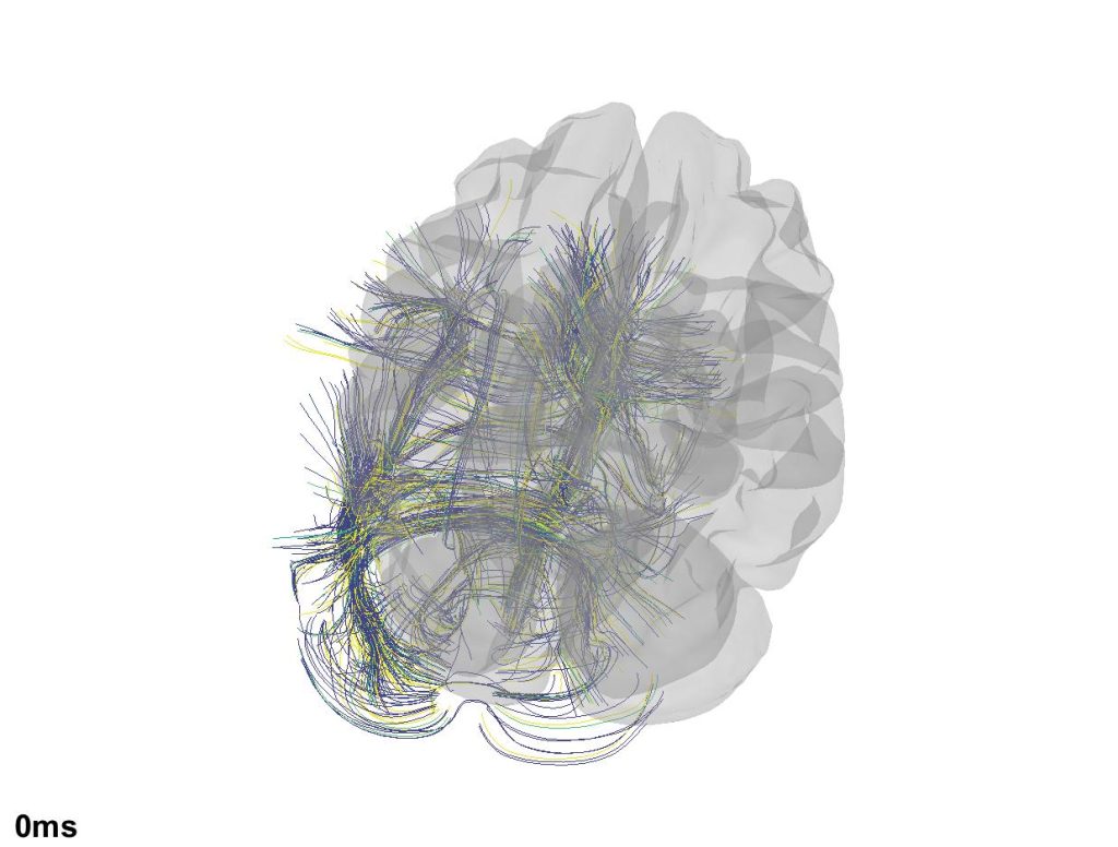 3d paper tdcs database 2 pilarr nov3