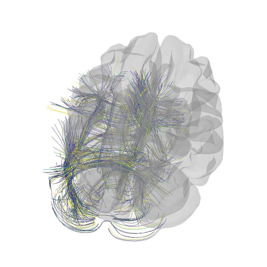 3d paper tdcs database 2 pilarr nov3